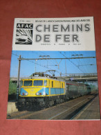 CHEMIN DE FER & TRAMWAY 1983  REGIONAUX & URBAINS N° 359 /  SUISSE CHEMIN DE FER MONTREUX OBERLAND BERNOIS / BERNE - Railway & Tramway