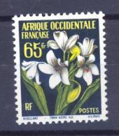 A.O.F.  :  Yv  72  ** - Unused Stamps