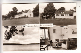 0-1955 RHEINSBERG - ADAMSWALDE, Betriebsferienheim, 1964 - Rheinsberg