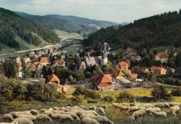 Kurort Todtmoos Im Südl - 1977 - Todtmoos