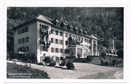 Ö-2489    MONDSEE : Waldhotel Kreuzstein - Vöcklabruck