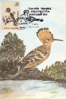 10524- BIRDS, HOOPOE, MAXIMUM CARD, 1993, ROMANIA - Picchio & Uccelli Scalatori