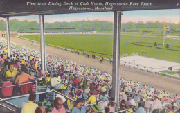 Maryland Hagerstown Race Track View From Dining Deck Of Club House Horse Racing - Hagerstown