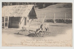 CPA Suisse Creux Du Van Déjeuner Au Parc Cachet De La Ferme Robert Neuchâtel 1903 Noiraigue Boudry - Boudry