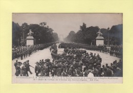 Funerailles De M. Berteaux - Ministre De La Guerre - Defile Du Cortege Aux Champs Elysees - Sonstige & Ohne Zuordnung