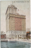 NEW YORK  WHITEHALL BUILDING  1911 - Andere Monumenten & Gebouwen