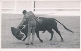 Photo Ancienne Tauromachie - Toréador Matador Chaves Floves - Corrida - Baldomero No CPA Ou CPSM - Sonstige & Ohne Zuordnung