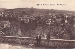 Delcampe - TREIGNAC   VUE GENERALE    CARTE ANIMEE  CHIENS - Treignac
