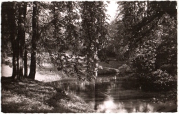 CPSM 95 (Val D'Oise) Montlignon - Cours Saint-Dominique, Un Coin Du Parc - 2 Scans - Montlignon