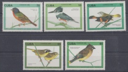 1996.15- * CUBA 1996. MNH. CENTENARIO DE JUAN GUNDLACH. AVES. PAJAROS. BIRDS. - Ongebruikt