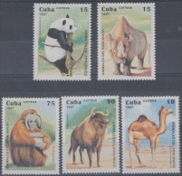 1997.39- * CUBA 1997. MNH. ZOO NACIONAL. CAMELLO. OSO PANDA. RINOCERONTE. ORANGUTAN. BISONTE. MONKEY. BEAR. - Ongebruikt