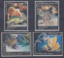 2000.31- * CUBA 2000. MNH. FONDOS MARINOS. SEA FAUNA. CAREY. TORTLE. TORTUGA. - Oblitérés