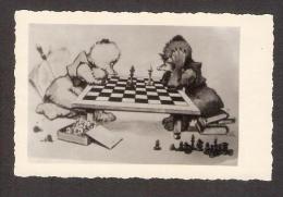 Chess Schach Echecs Ajedrez  MNH  Photo Ducklings Play Chess - Echecs