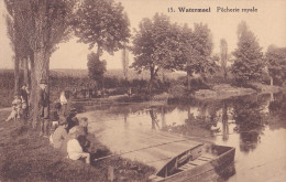 WATERMAEL-BOITSFORT : Pêcherie Royale - Watermaal-Bosvoorde - Watermael-Boitsfort