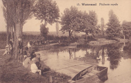 WATERMAEL-BOITSFORT : Pêcherie Royale - Watermael-Boitsfort - Watermaal-Bosvoorde