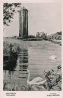 CPSM PAYS BAS - HOLLANDE - Zwanen Bij De Watertoren - Foto Theo Wenzel - Aalsmeer