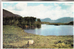 EIRE / IRLAND - GALWAY, Connemara, Derryclare Lake - Galway