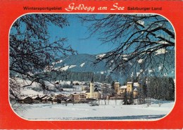 Wintersportgebiet Goldegg Am See - Salzburger Land - Goldegg