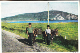 EIRE / IRLAND - MAYO - Achill Island, Going For Turf - Mayo