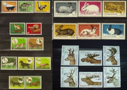 BULGARIA Lot Of 4 Sets MNH FAUNA Animal Exotic Predators DEERS RABBITS HUNTING DOGS - Colecciones & Series