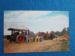 Threshing Machine. An Old Steam Engine Is Used To Operate This Threshing Rig On A Pennsylvania Dutch Farm. - Tractors