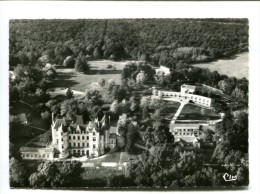 CP - VOUNEUIL SOUS BIARD (86) VUE AERIENNE DU CHATEAU - Vouneuil Sous Biard