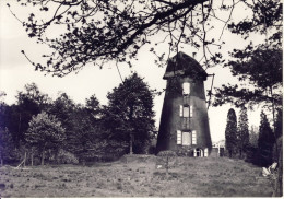 Sint-Pieters-Lille Oude Molen - Lille