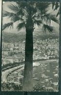 Monaco - Le Port Et La Condamine   Fae153 - La Condamine