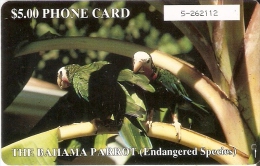 TARJETA DE BAHAMAS DE 2 LOROS (LORO-PAJARO-PARROT) - Bahamas