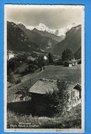 EGG972, Wilderswil, Eiger, Mönch, Jungfrau, 3125,  Circulée 1953 - Wilderswil