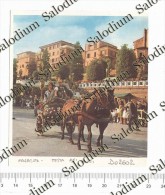 MACERATA Festa - Immagine Ritagliata Da Pubblicazione Originale D´epoca - Altri & Non Classificati