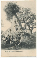 D.S.W. Afrika Termitenhugel German South West Africa Nid De Termites No 148 - Namibia