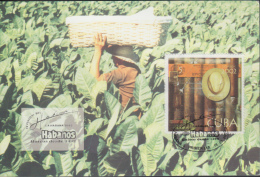 DPC.133  CUBA MAXIM CARD TOBACCO TARJETA MAXIMA DE TABACO 2002 - Cartoline Maximum