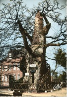 Allouville Bellefosse : Le Chêne Millénaire Agé De 1200 Ans Renfermant Deux Chapelles Superposées N°8054 Estel Dentelée - Allouville-Bellefosse