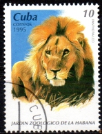 1995 Animals From Havana Zoological Gardens - 10c Lion CTO - Usati