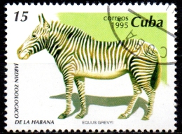 1995 Animals From Havana Zoological Gardens -15c - Grevy's Zebra   CTO - Usati