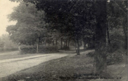 Dépt 78 - VIROFLAY - Dans Les Bois - Le Carrefour De Gaillon - Viroflay