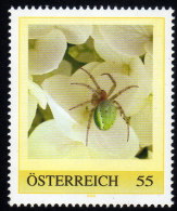 ÖSTERREICH  2007 ** Spinne, Spider - PM Personalized Stamp MNH - Personalisierte Briefmarken