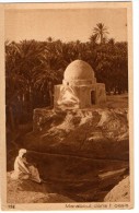 MARABOUT DANS L'OASIS - POST CARD FORMATO PICCOLO - C247 - Afrika