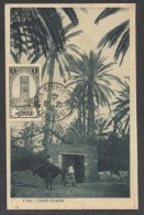 8208-MAROC-DANS L'OASIS-1929-FP - Lettres & Documents