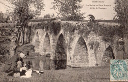 Montaigu : La Maine Au Pont Romain Dit De La Tonnette - Montaigu