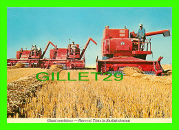 SASKATCHEWAN - GIANT COMBINES HARVEST TIME THE WHEAT FIELDS - PHOTO, CREATIVE PHOTO LTD -- - Autres & Non Classés