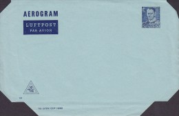 Denmark Postal Stationery Ganzsache Entier Aerogram Luftpost Par Avion  (19.) 60 Øre Frederik IX. Unused - Airmail