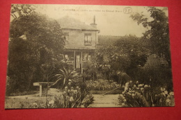 Cp Viarmes Jardin De L'hotel Du Cheval Blanc - Viarmes