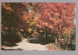 Vermont's Magnificent Fall Foliage - Burlington