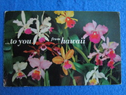 To You From Hawaii. Orchids. - Otros & Sin Clasificación