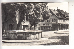 0-5210 ARNSTADT, Markt, Bachkirchenbrunnen, 1966 - Arnstadt