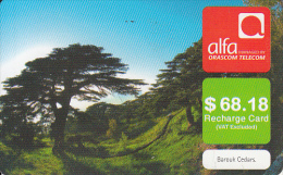 LEBANON - Barouk/Cedars Tree, ALFA Rby Orascom Telecom Echarge Card $68.18, Exp.date 15/12/13, Used - Lebanon