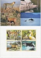 United Nations Vienna 2000 Animals 4v Maximum Card (19152) - Cartoline Maximum
