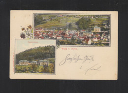 Schweiz AK Wald Bei Zürich 1905 - Wald